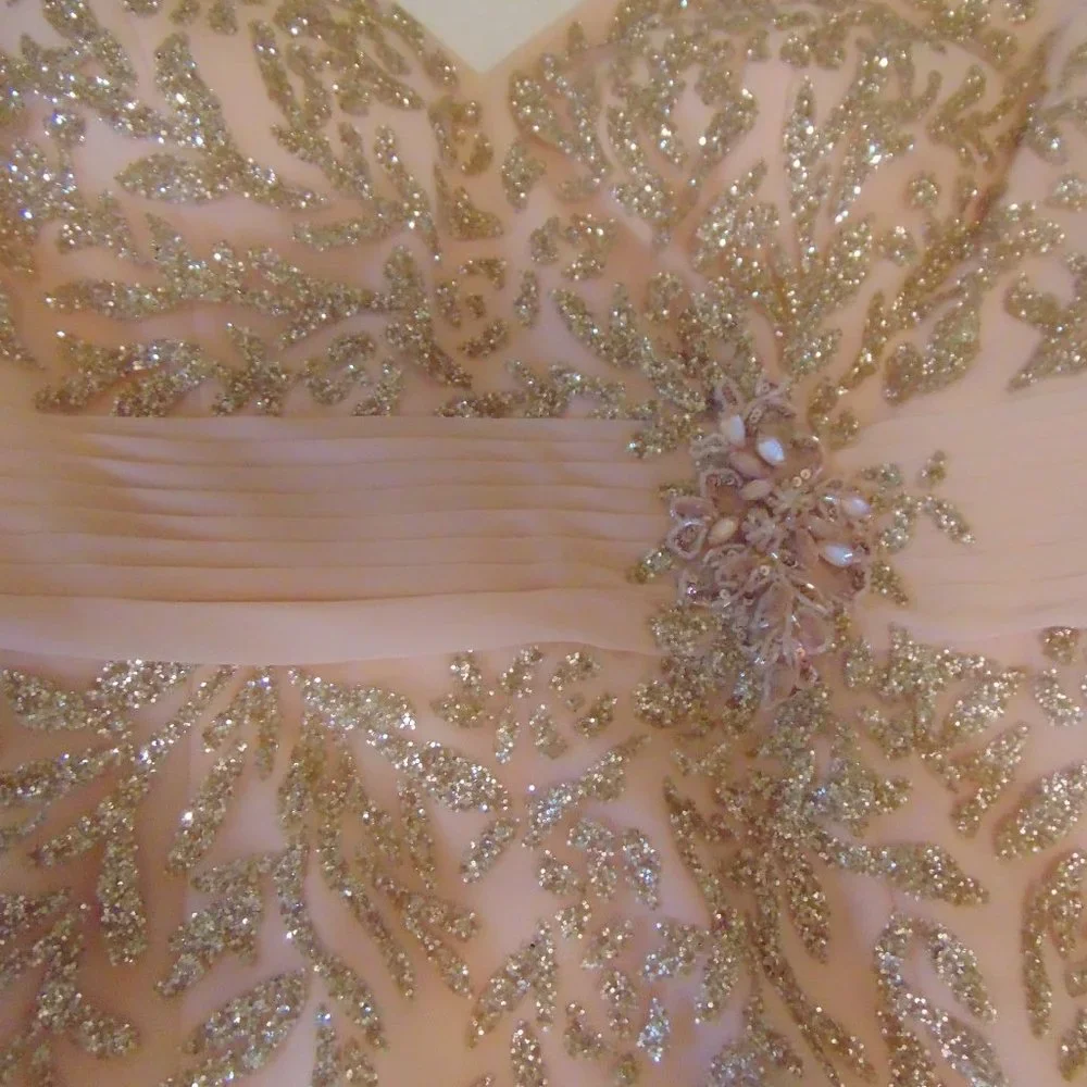 Mother of the Bride peach Chiffon gown by Cameron Blake - Picture 5 of 16